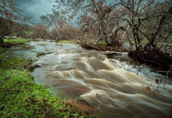 long exposure photo of river flowing with trees and grass growing on river banks