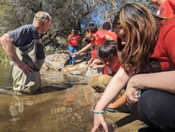 people on a creek bed looking into the water