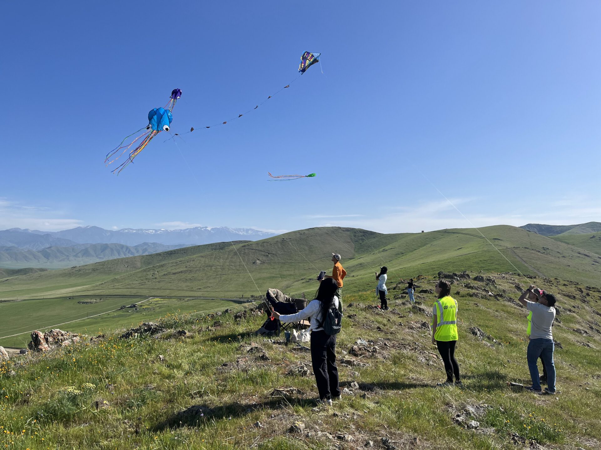 Three kids on grassy hill flying kits in a blue sky