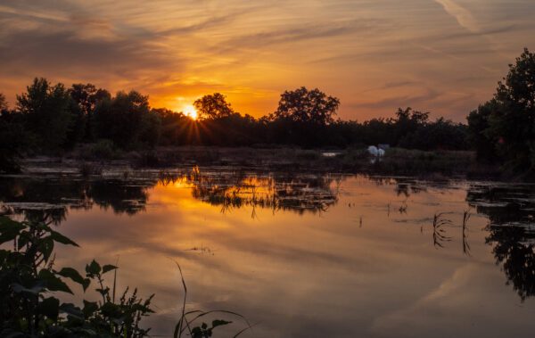 photo of small lake with sunset over silouhette of trees in background
