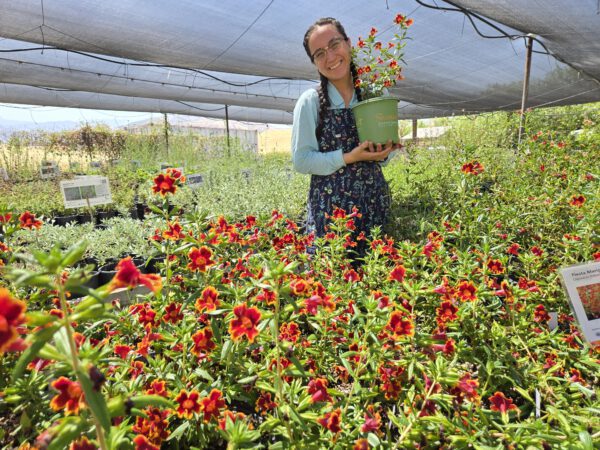 woman standing amongst flowers inside a plant nursery