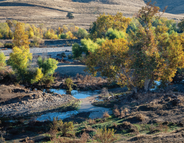 winding stream through river rocks and small trees and brown grassy hills in background